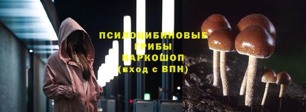 2c-b Абинск